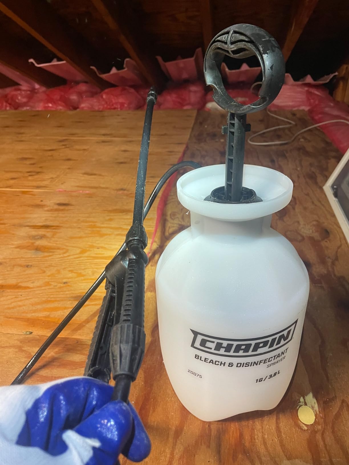 CHAPIN 20075 1-Gallon Bleach Pump Sprayer for Cleaning & Disinfecting customer photo 2