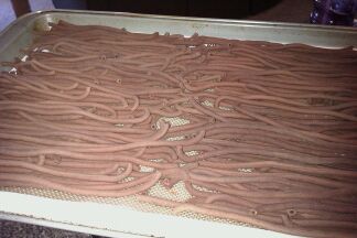 KitchenAid KPEXTA Stand-Mixer Pasta-Extruder Attachment customer photo 2