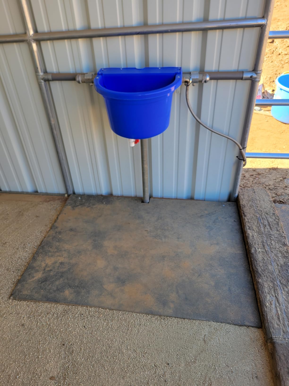 Little Giant® Automatic Animal Waterer | DuraMate Float Controlled Automatic Waterer for Livestock | Heavy Duty and Durable | Made in USA | 4 Gallon (Black, 4 Gallon) customer photo 1