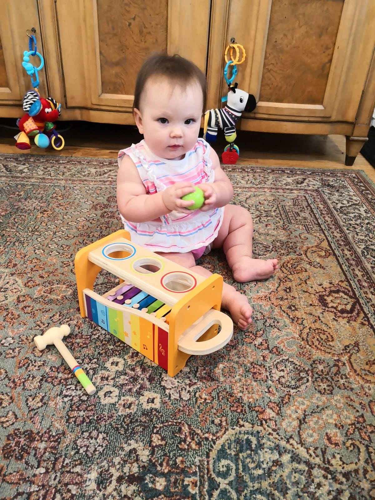Hape Pound & Tap Bench with Slide Out Xylophone - Award Winning Durable Wooden Musical Pounding Toy for Toddlers customer photo 1