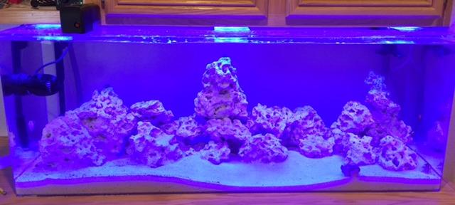 Milwaukee Salinity Digital Refractometer for Saltwater Aquariums - MA887 customer photo 1