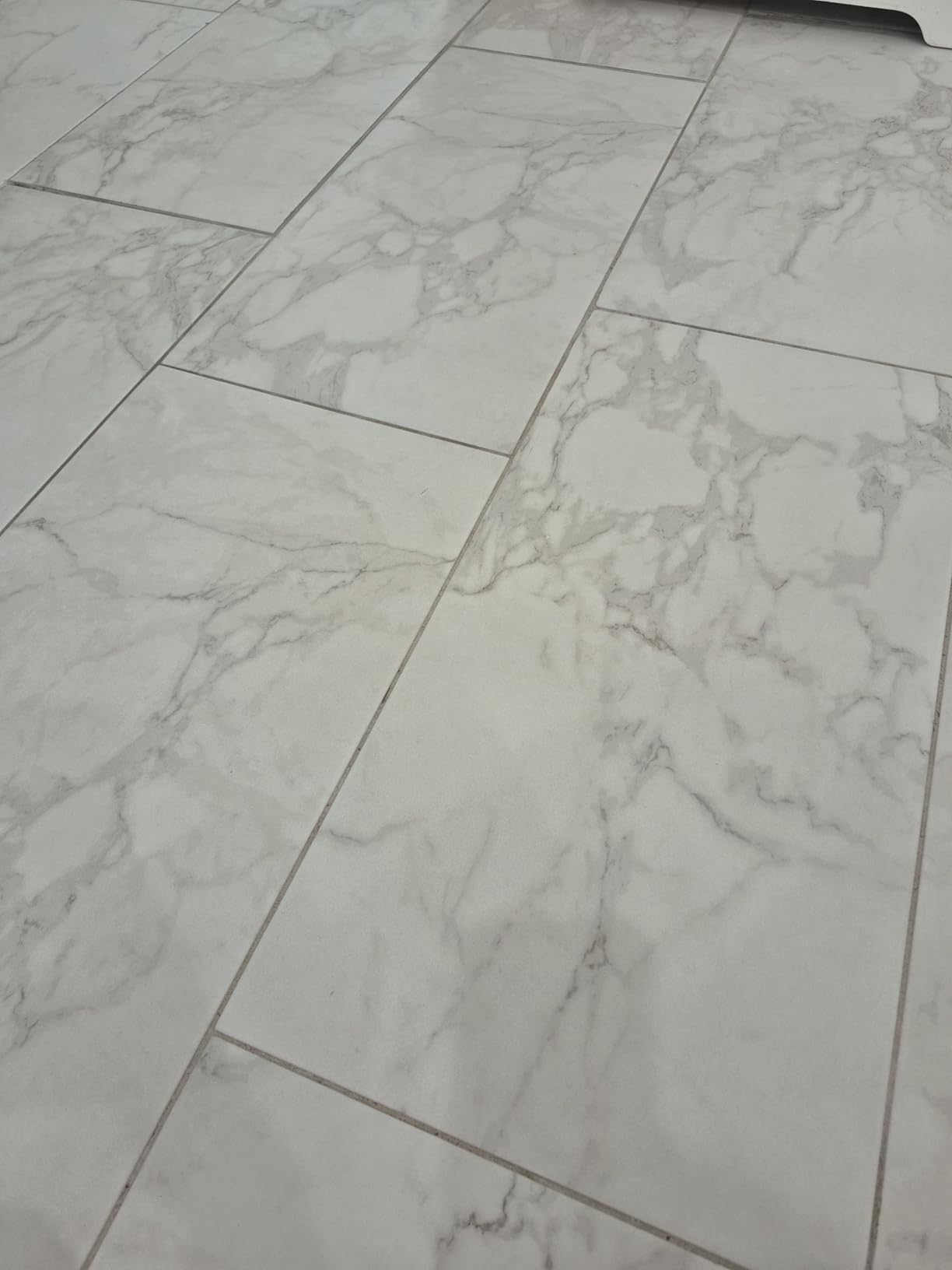 Oreck Commercial Orbiter Hard Floor Cleaner, For All Flooring Types customer photo 2
