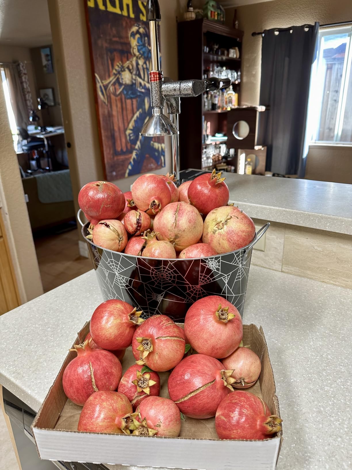 Commercial Grade Can-Can Pomegranate and Citrus Juicer customer photo 1
