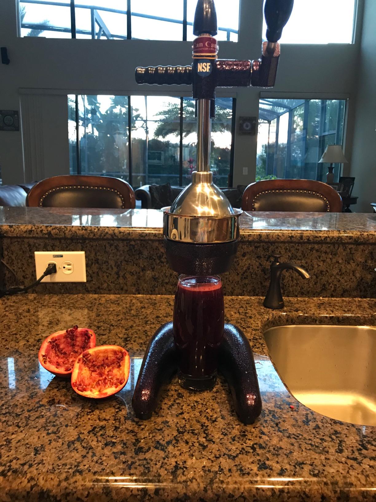 Commercial Grade Can-Can Pomegranate and Citrus Juicer customer photo 2