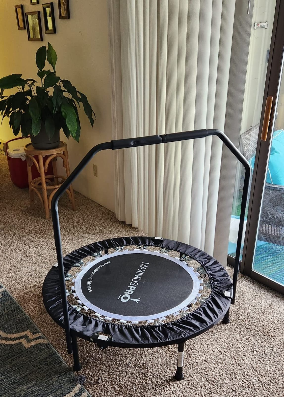 Maximus PRO Folding Rebounder Fitness Trampoline | Voted #1 Indoor Mini Exercise Trampoline for Adults with Bar | Best Home Gym for Fitness & Lose Weight | Free Storage Bag, Resistance Bands, Awesome customer photo 1