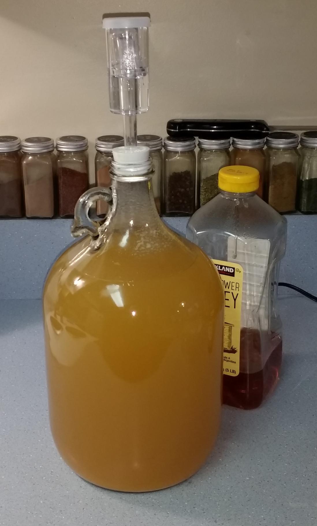 FastRack - Shepherd Made Mead Making Kit - 1 Gallon Jug Fermentation Set with Clear Glass Fermentation Jar, 3pc Airlocks, Rubber Stopper, Yeast Nutrient & Mead Yeast for Home Brewing customer photo 1
