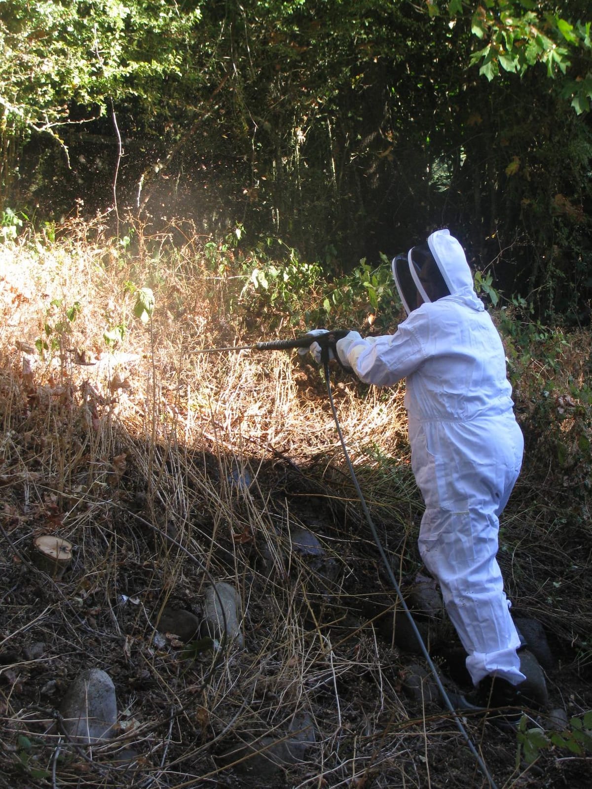 Humble Bee 411 Polycotton Beekeeping Suit with Fencing Veil customer photo 1