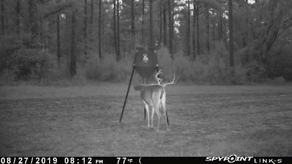 Boss Buck Gravity Deer Feeder for Game & Hunting, 200 lb Corn Capacity customer photo 2