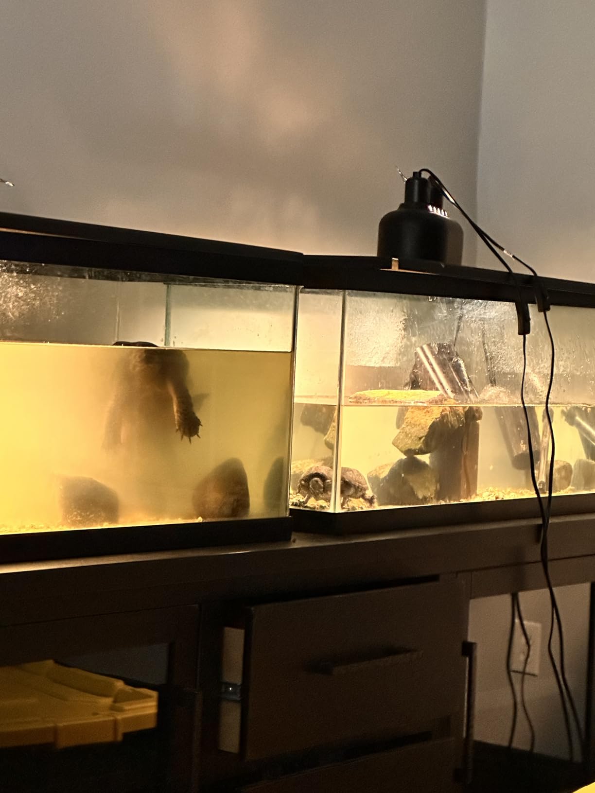 Marineland Magniflow 400 GPH Canister Aquarium Filter customer photo 2
