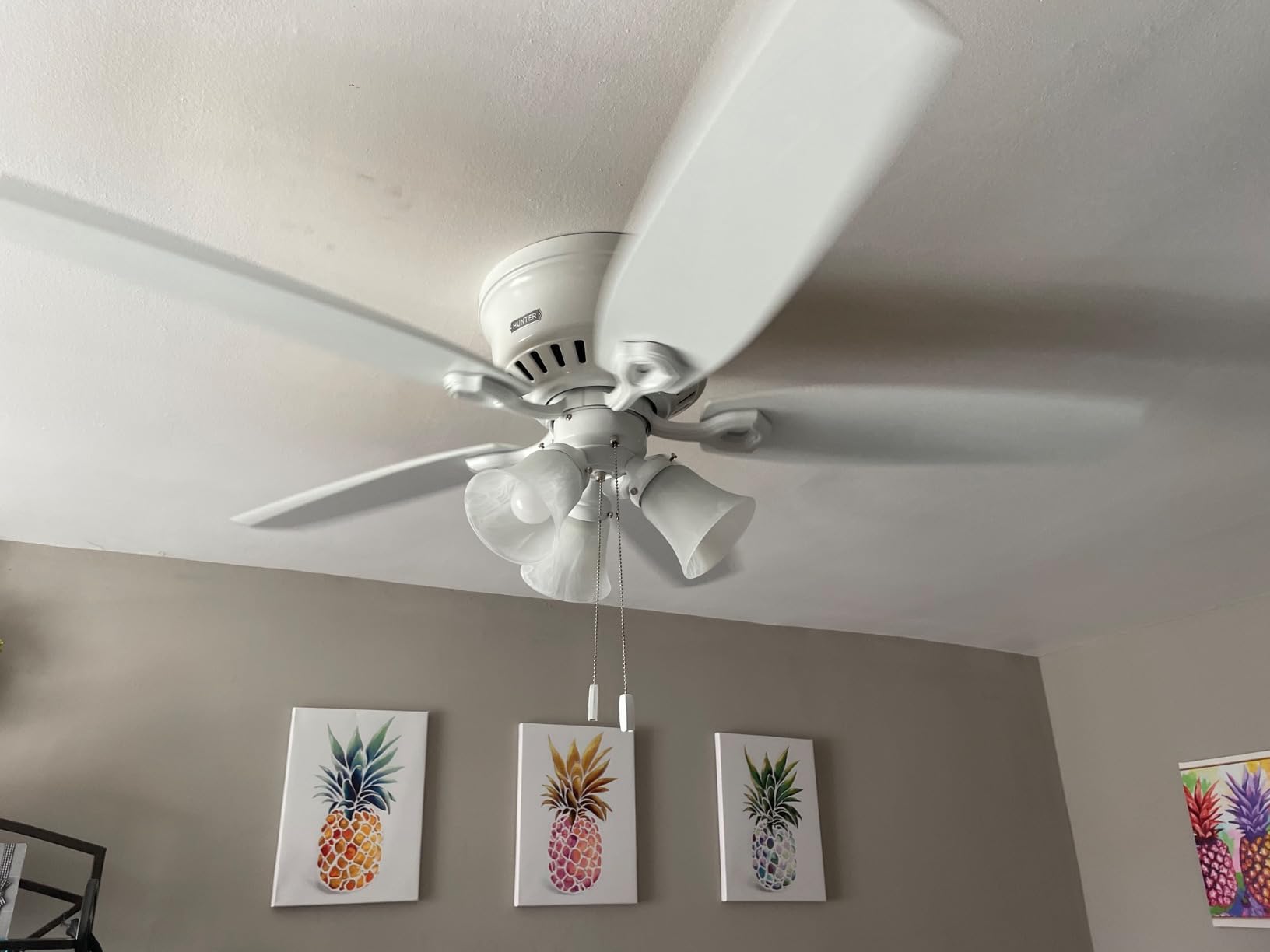 Hunter Builder, Indoor, Ceiling Fan, with LED Lights, 42 inch, New Bronze | Low Profile Flush Mount, Pull Chain, 5 Blades, For Bedroom, Living Room, Kitchen, 51091 customer photo 2