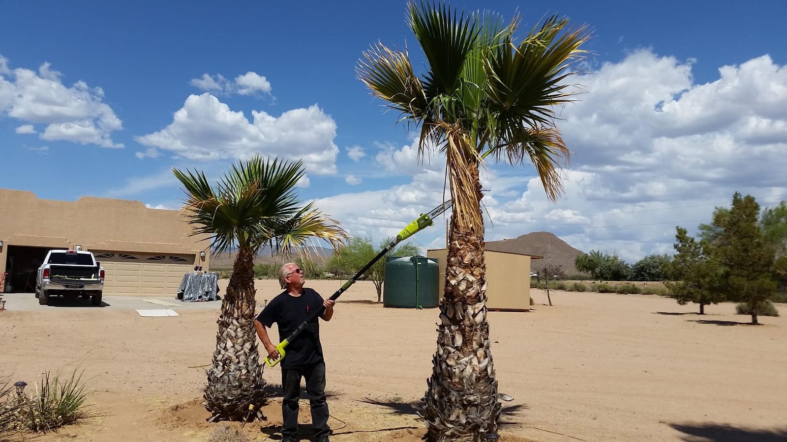 Sun Joe Corded Electric Telescoping Pole Saw, Pruning Power Tool with 10 Inch Bar, 8 Amp Power with 14 Foot Reach for Ground-Level Tree Trimming. customer photo 1
