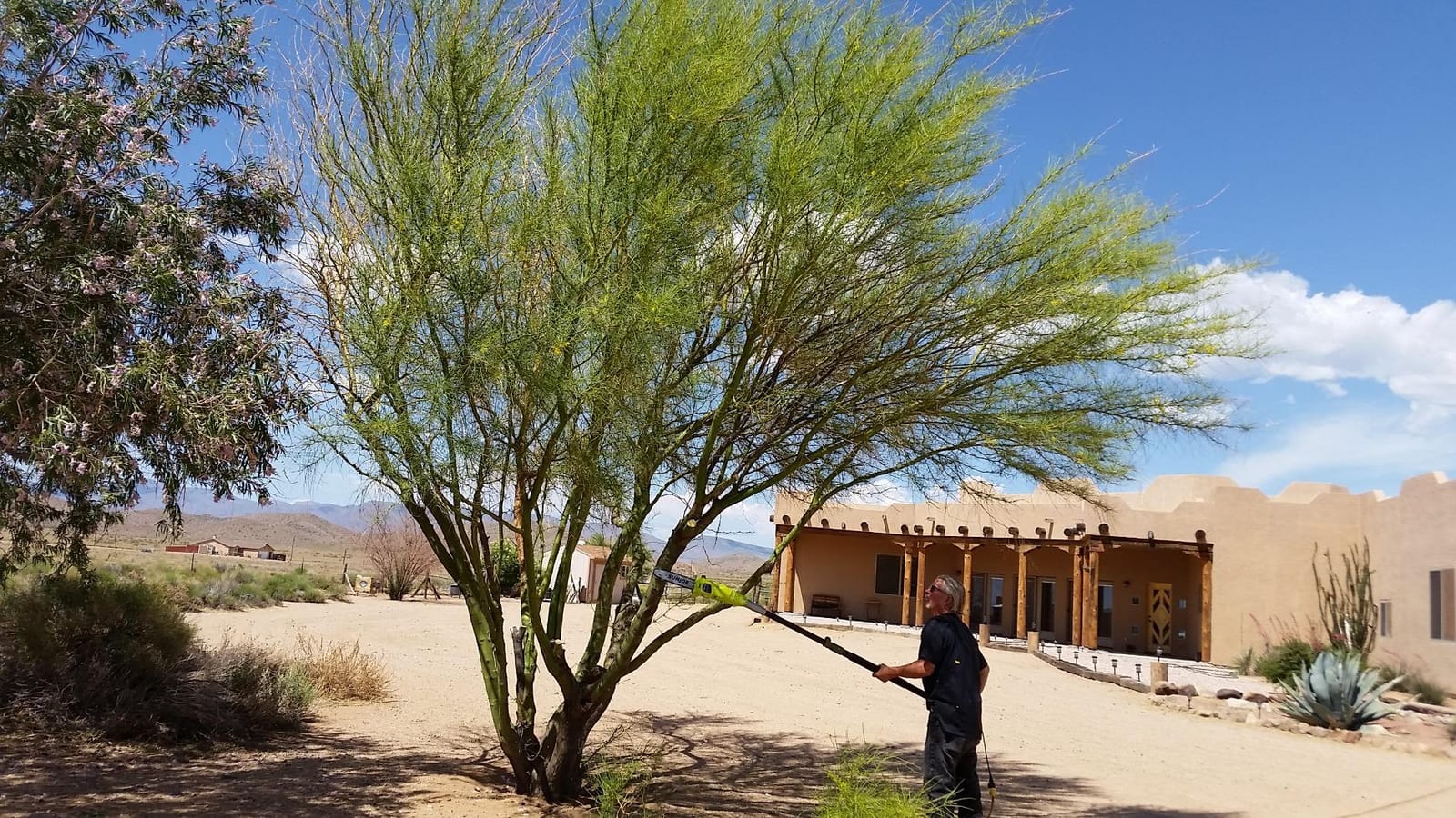 Sun Joe Corded Electric Telescoping Pole Saw, Pruning Power Tool with 10 Inch Bar, 8 Amp Power with 14 Foot Reach for Ground-Level Tree Trimming. customer photo 2