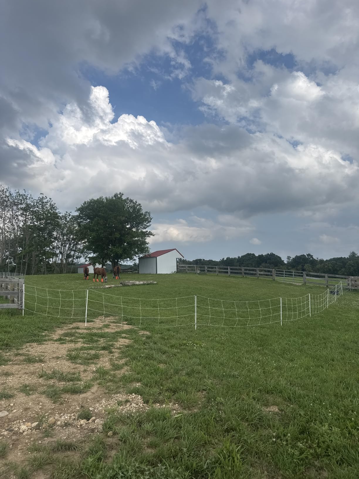Premier 1 Horse QuikFence® Electric Fence for Horses – 48