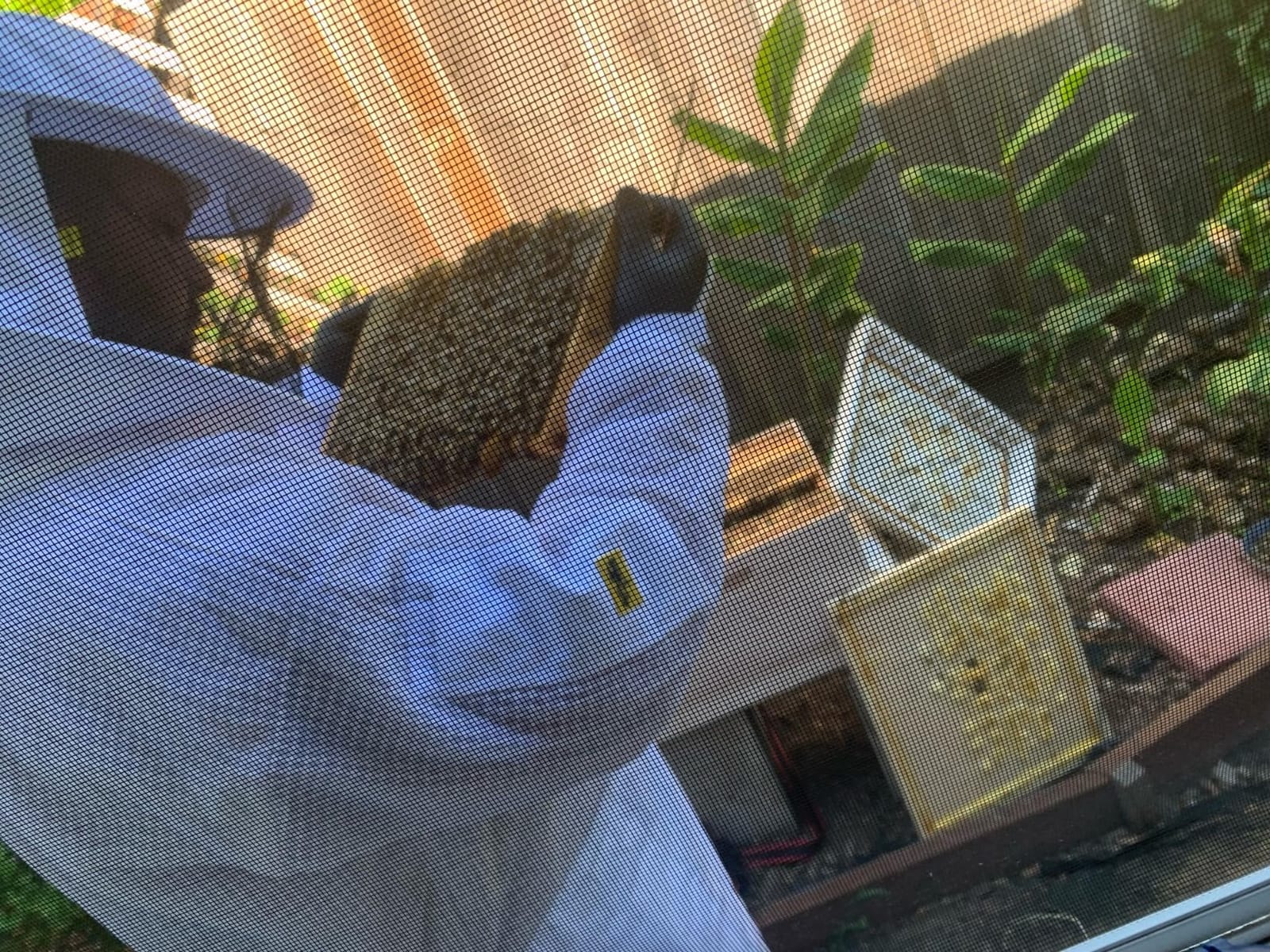 3 Layer Ventilated Bee Suit for Men & Women, Sting Proof Beekeeping Suit with Fencing & Round Veil, Professional Beekeeper Suit & Gear (M) customer photo 2