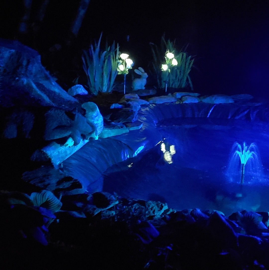Pond Kit Water Garden Fountain KOI Pond KIT Liner & Pump 9' X 6' Liner & 5 Water Lilies customer photo 1