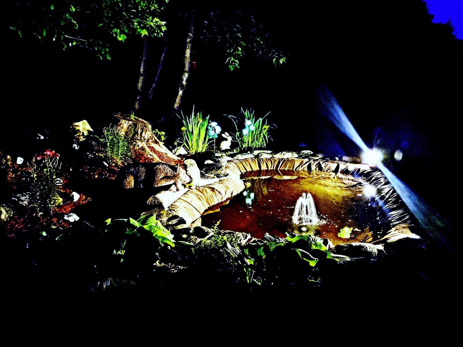 Pond Kit Water Garden Fountain KOI Pond KIT Liner & Pump 9' X 6' Liner & 5 Water Lilies customer photo 2