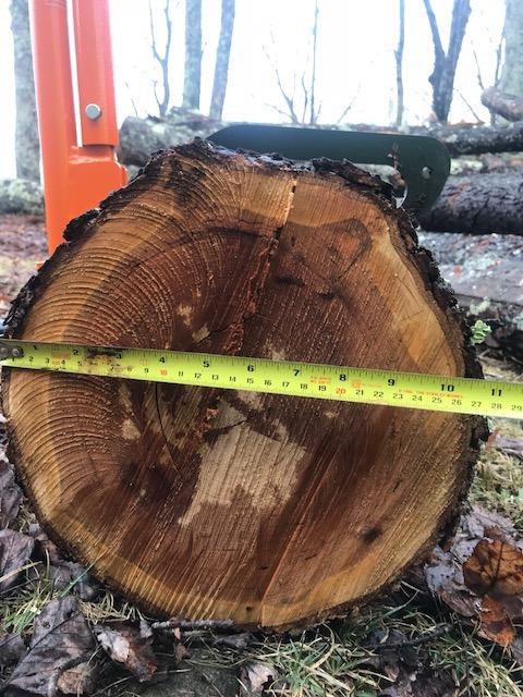 LogOX 3-in-1 Forestry Multitool, Firewood Harvesting Hand Tools, Reduce Back Strain and Heating Costs, Log Hauler, Cant Hook, and Timberjack, All-in-One (Patented & Made in USA) customer photo 2