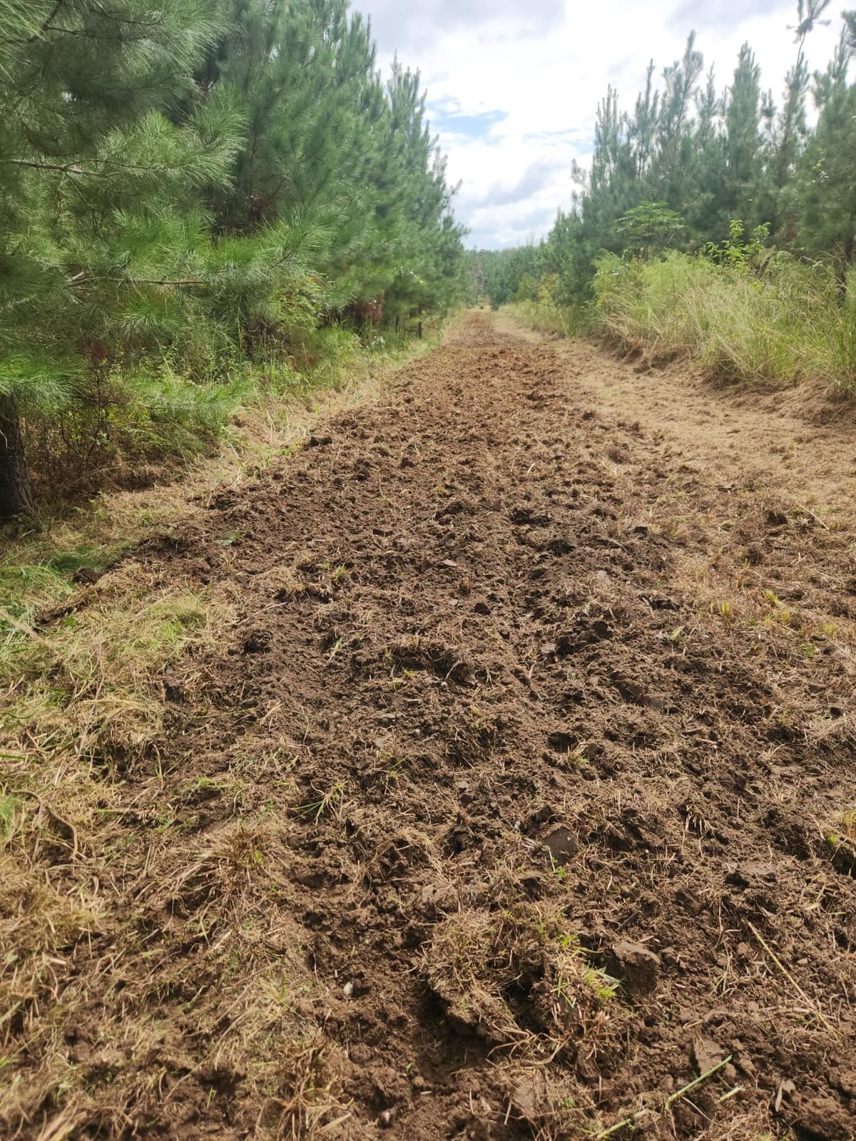 Black Boar Camco ATV/UTV Disc Harrow Implement | Specifically Designed to Thoroughly Break up Tough Ground | (66001) customer photo 1