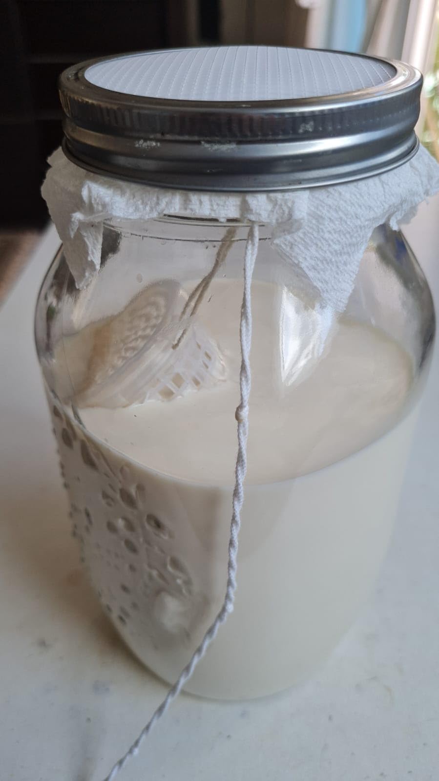 Kefir Fermenter: Container for Milk & Water Kefir Grains Large Size - 210 cc customer photo 1