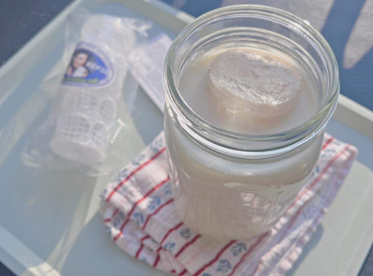 Kefir Fermenter: Container for Milk & Water Kefir Grains Large Size - 210 cc customer photo 2