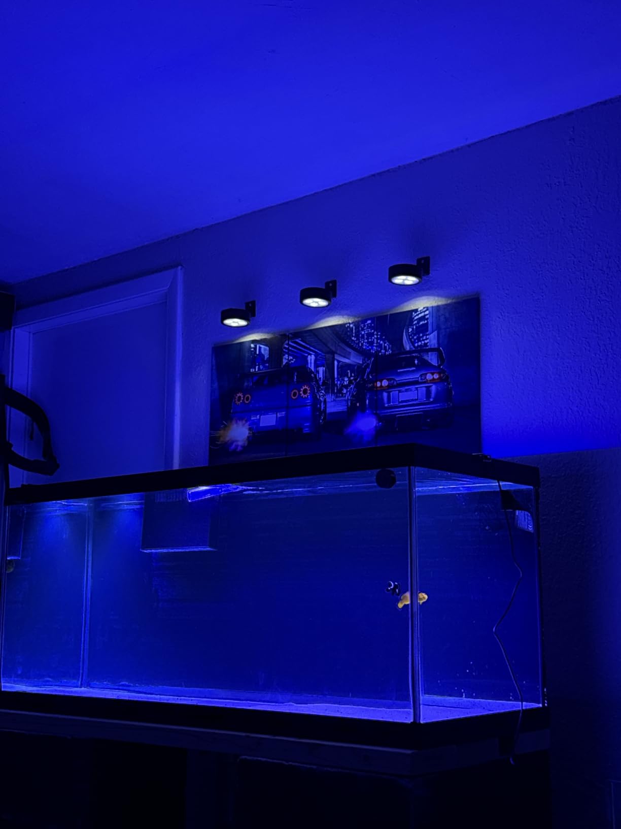 Aquarium Light –5rd AquaKnight A029 Aquarium LED Light 30 Watts Saltwater Light with Sunrise Sunset Moonlight, 5W LED Chips for Coral Reef Nano Fish Tank Marine Tanks with Timer & Screen customer photo 2