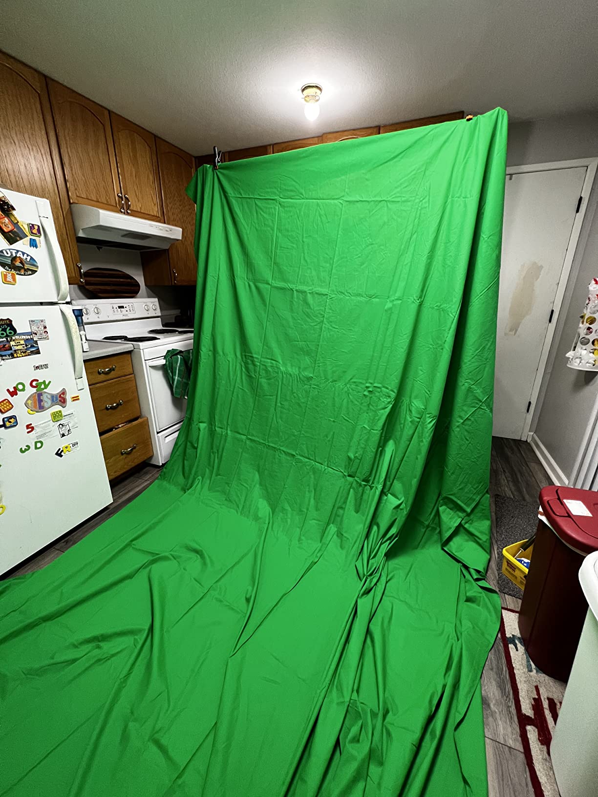 EMART Green Screen Backdrop Kit, 8.5x10FT Stand with 10x12FT Backdrop customer photo 1