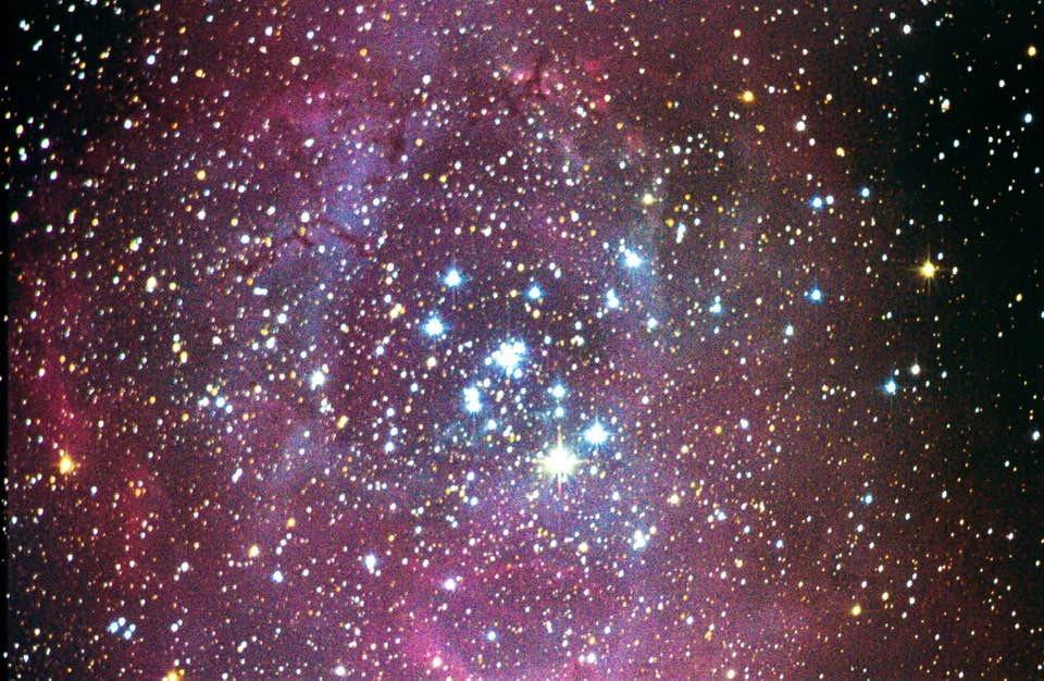 Sky-Watcher EQ6-R – Fully Computerized GoTo German Equatorial Telescope Mount – Belt-driven, Motorized, Computerized Hand Controller with 42,900+ Celestial Object Database customer photo 1