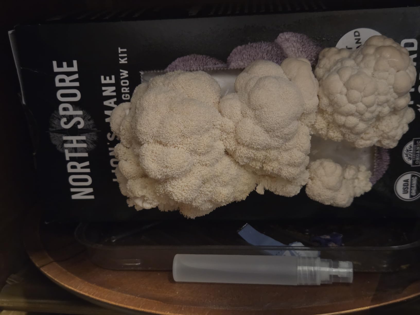 North Spore Organic Lion's Mane Mushroom Grow Kit, 4 lbs customer photo 1