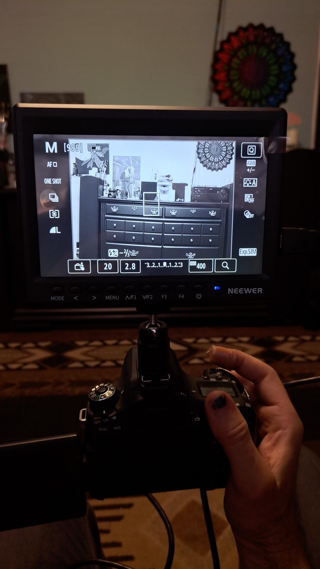 NEEWER F100 7inch Camera Field Monitor HD Video Assist IPS 1280x800 | HDMI Input 1080p, Sunshade, Ball Head for DSLR Cameras, Handheld Stabilizer, Film Video Making Rig, Battery Not Included customer photo 1