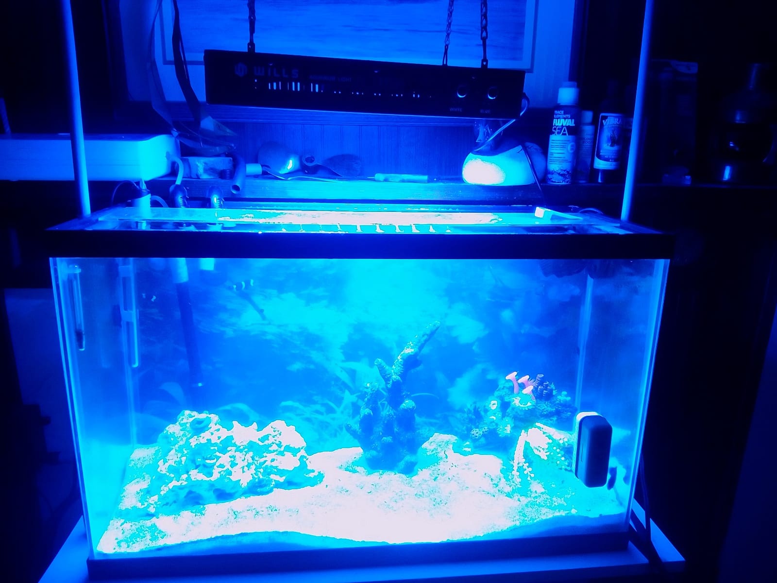 Wills Aquarium Light, 100W Full Spectrum LED Reef Lights, 16