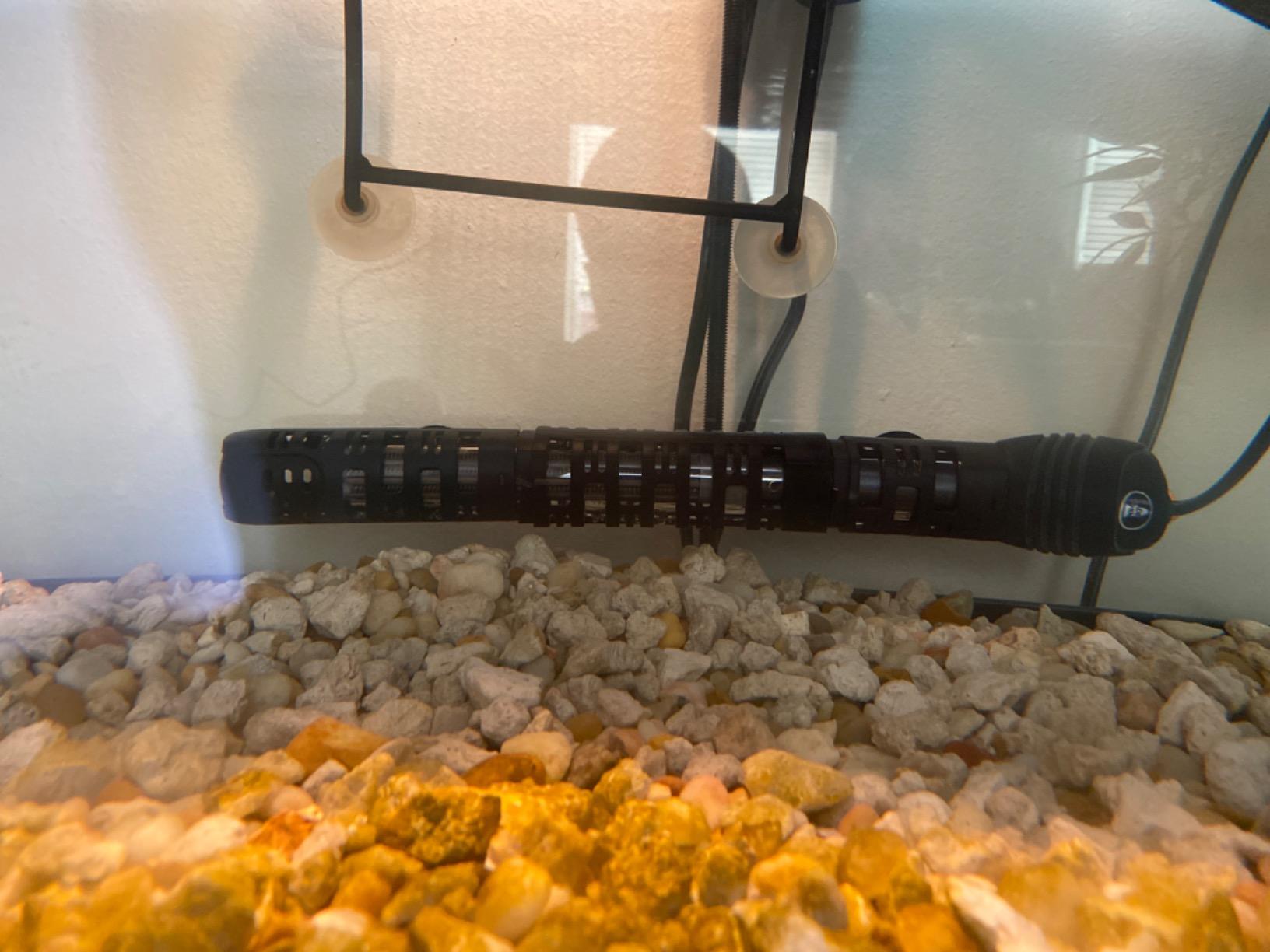 Orlushy Submersible Aquarium Heater, Adjustable Fish Tahk Heater with Free Thermometer Suitable for Marine Saltwater and Freshwater customer photo 2