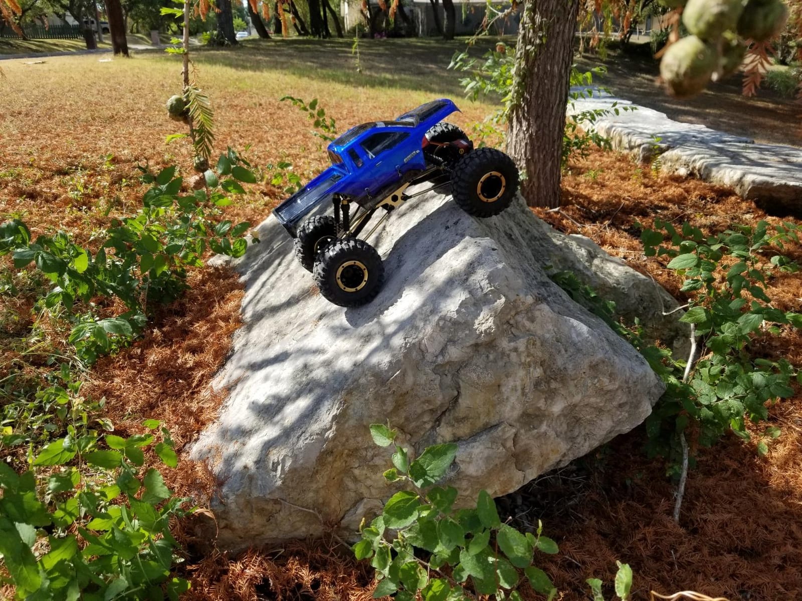 Redcat Racing Everest-10 Electric Rock Crawler with Waterproof Electronics, 2.4Ghz Radio Control (1/10 Scale), Blue/Black customer photo 1