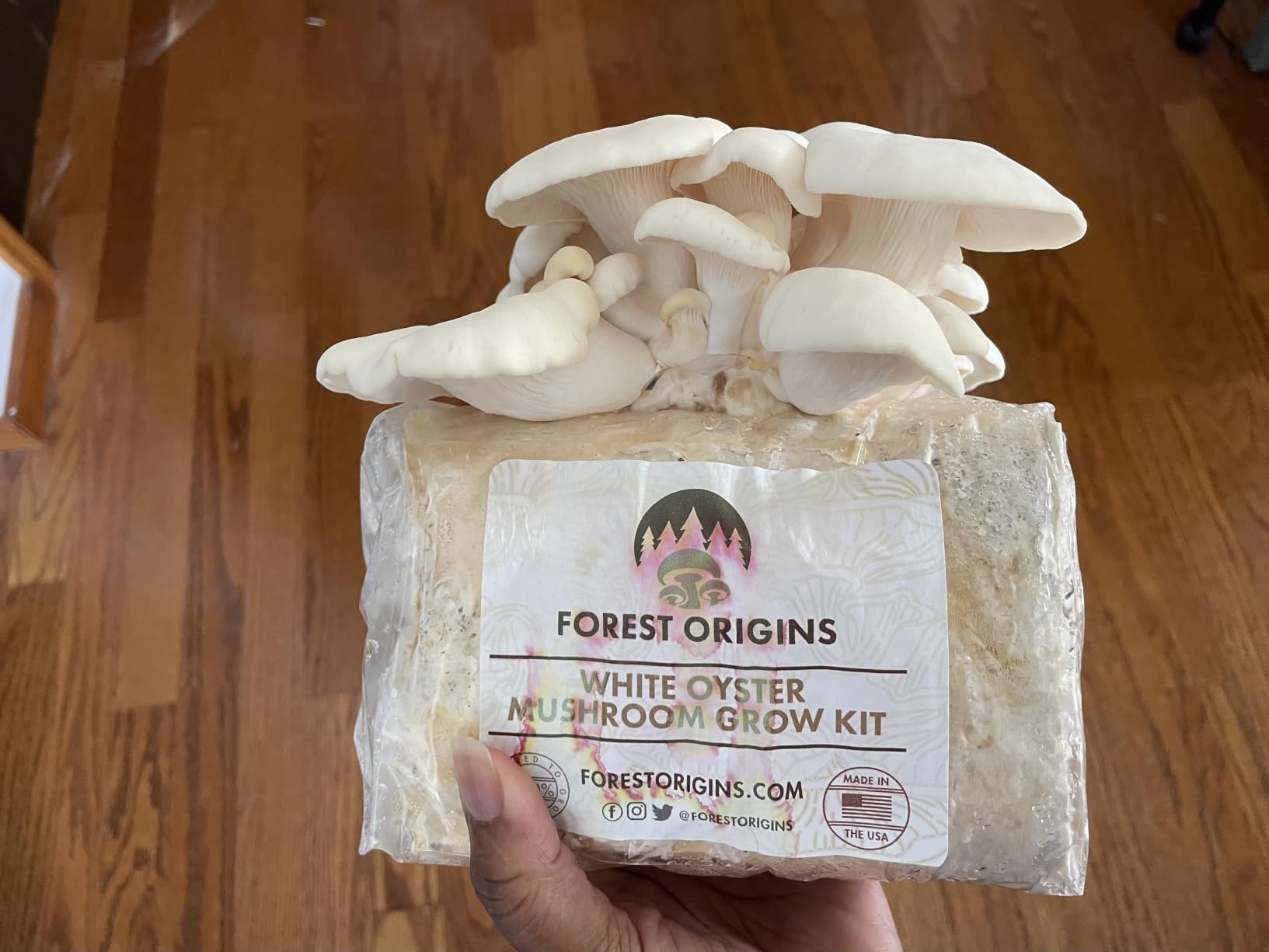 Forest Origins Specialty Trio Oyster Mushroom Kits, Pink Brown White 3-Pack customer photo 1