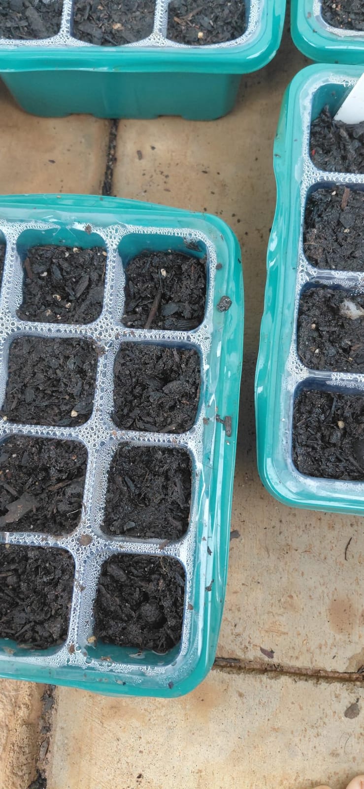 MIXC 10 Pack Seed Starter Tray, 120Cell Stater Kit with Humidity Dome Green customer photo 1