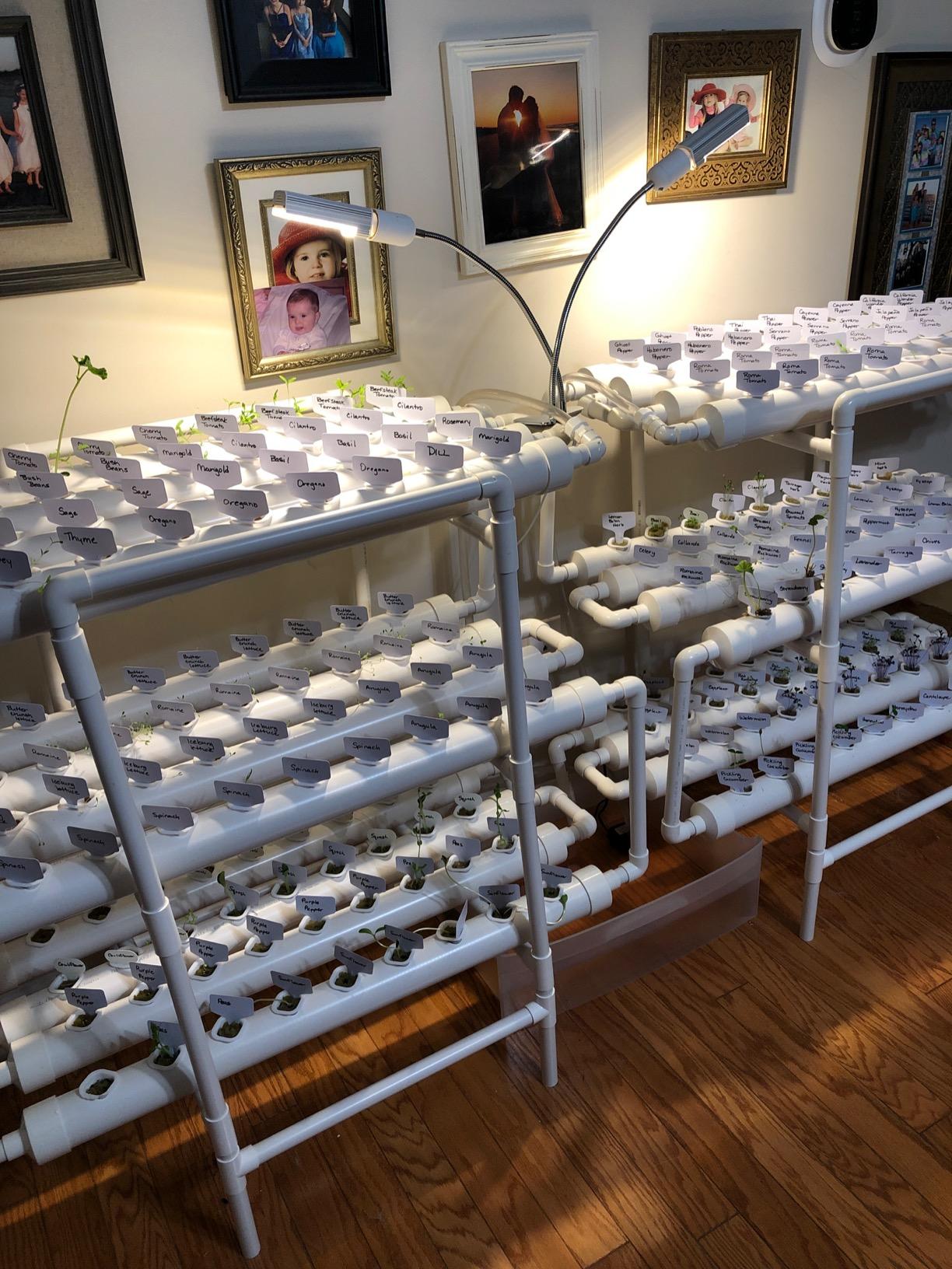 DreamJoy 3 Layers 108 Plant Sites Hydroponic Site Grow Kit 12 Pipes Hydroponic Growing System Water Culture Garden Plant System for Leafy Vegetables Lettuce Herb Celery customer photo 2