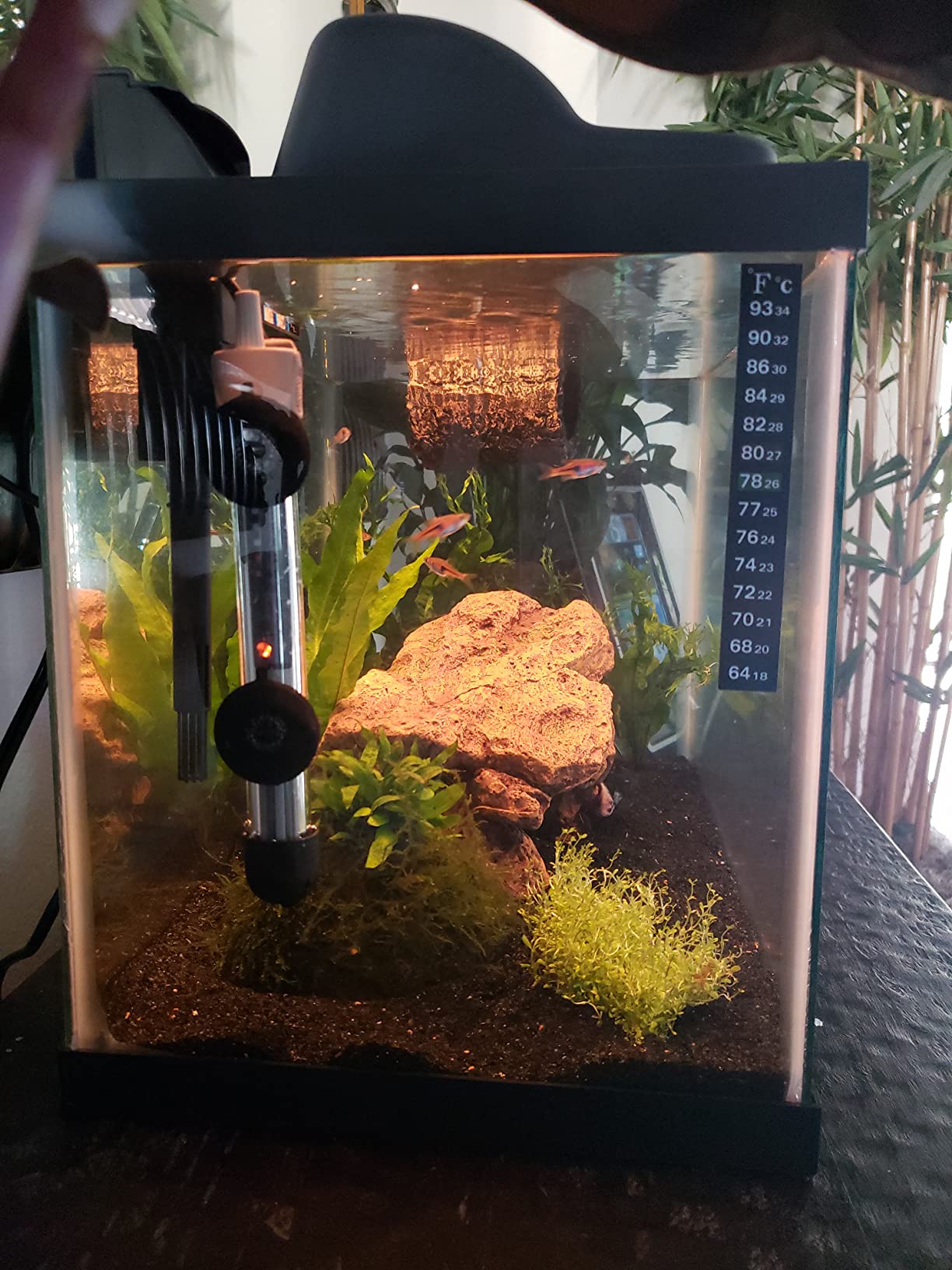 HITOP 50W Adjustable Aquarium Heater, Submersible Fish Tank Heater Thermostat with Suction Cups for 6-15Gal customer photo 2