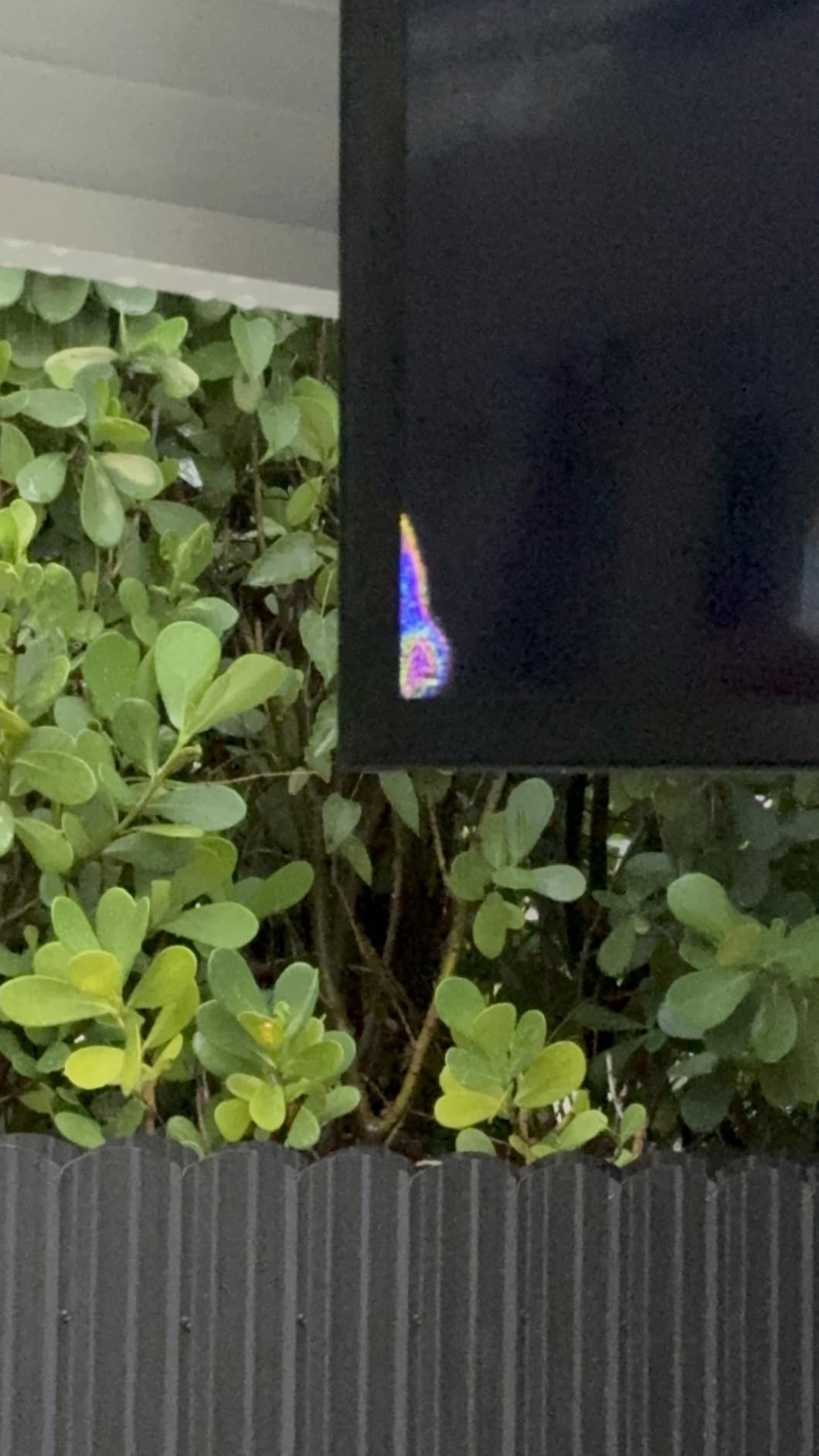 SunBrite Veranda 2 Series 43-inch Full Shade Outdoor TV | 4K Ultra HD HDR LED Weatherproof Television - Direct Lit LED Screen with All-Weather Remote (SB-V-43-4KHDR-BL) customer photo 1