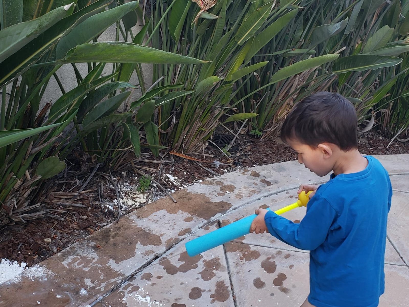 Water Blaster | Water Blasters for Kids, Water Squirter for Kids, Pool Guns, Squirt Gun 8 Pack 4 Pack Beach Essentials, Beach Toys Pool Squirt, Summer Games customer photo 1