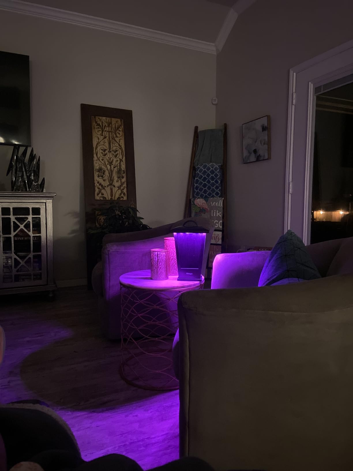 pohopa Bluetooth Speakers Waterproof, 2 Packs True Wireless Stereo Sound 20W Dual Pairing Lantern Indoor Outdoor Speakers with 20 Piece LED Lights, Rich Bass, Pinao Black customer photo 1