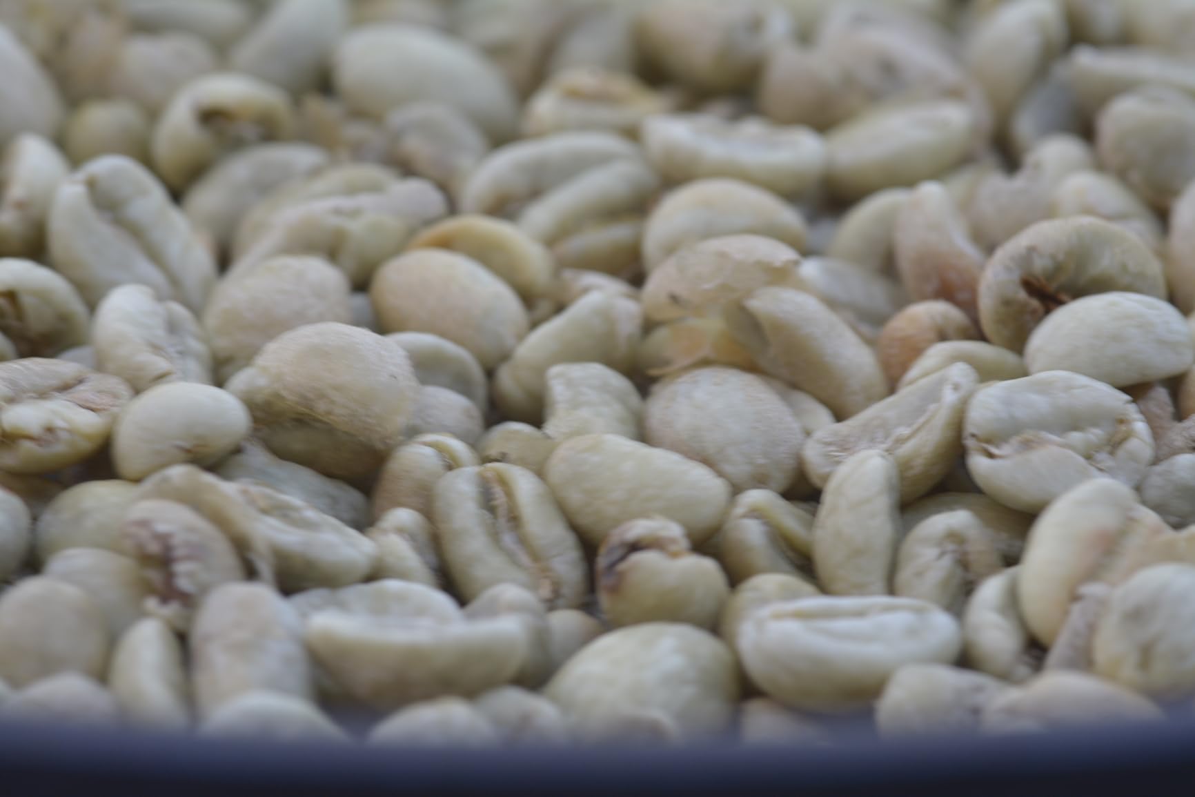 JIAWANSHUN Electric Coffee Bean Roaster Machine for Home Use,1.1lb Capacity customer photo 1