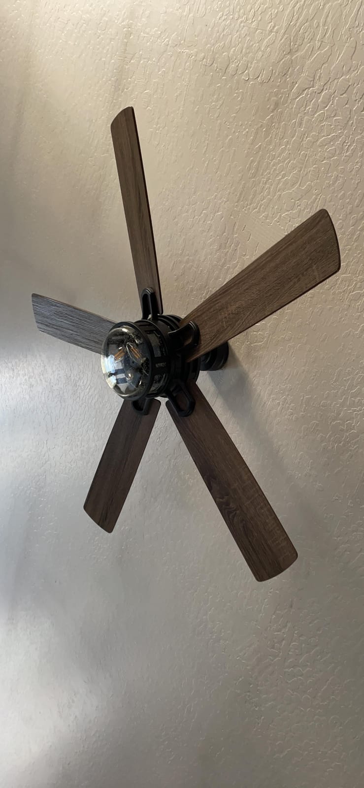 Honeywell Bonterra Ceiling Fan with LED Edison Light, Matte Black, 52 In | Seeded Glass Globe Shade, 5 Blades, 3-Speed Reversible Motor, Remote & Wall Mount Included, for Rooms Over 400 Sq Ft customer photo 1