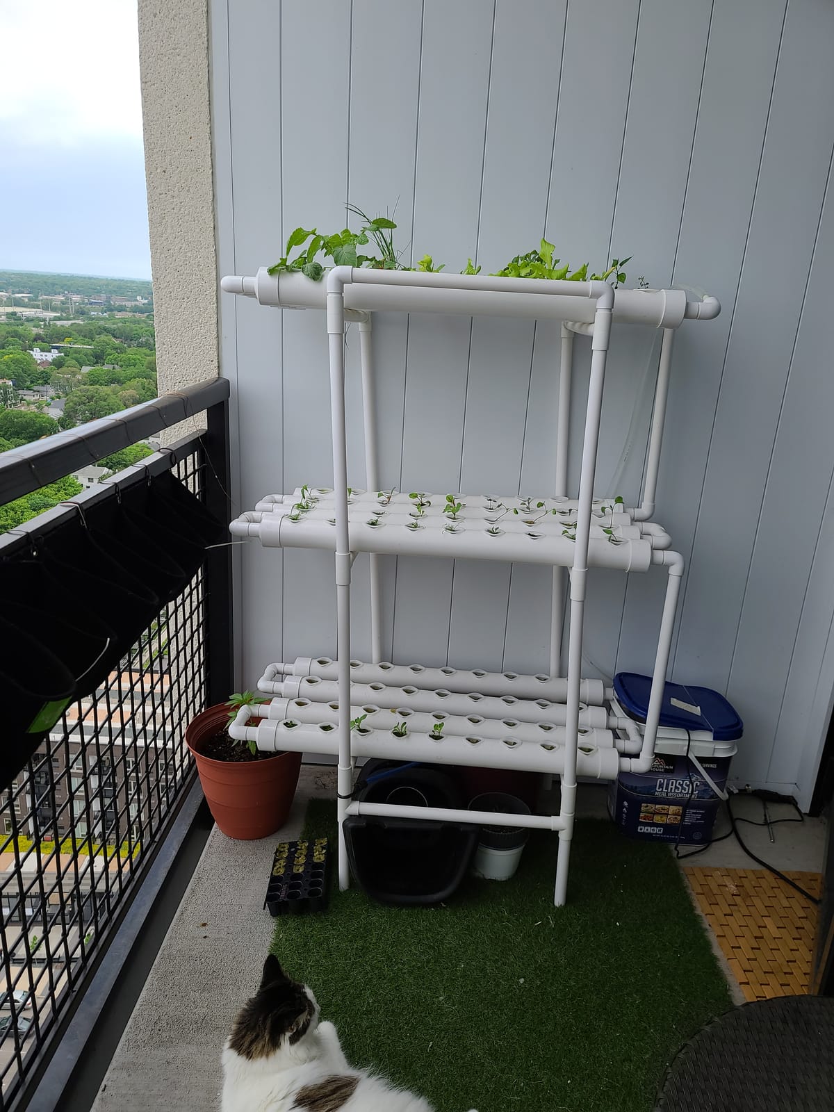 Hydroponic Growing System NFT with Timer Control, PVC Pipe 108 Planting Hole, Garden Water Culture Plant Salad Vegetable with Timer, Square Net Pot, Sponge customer photo 2