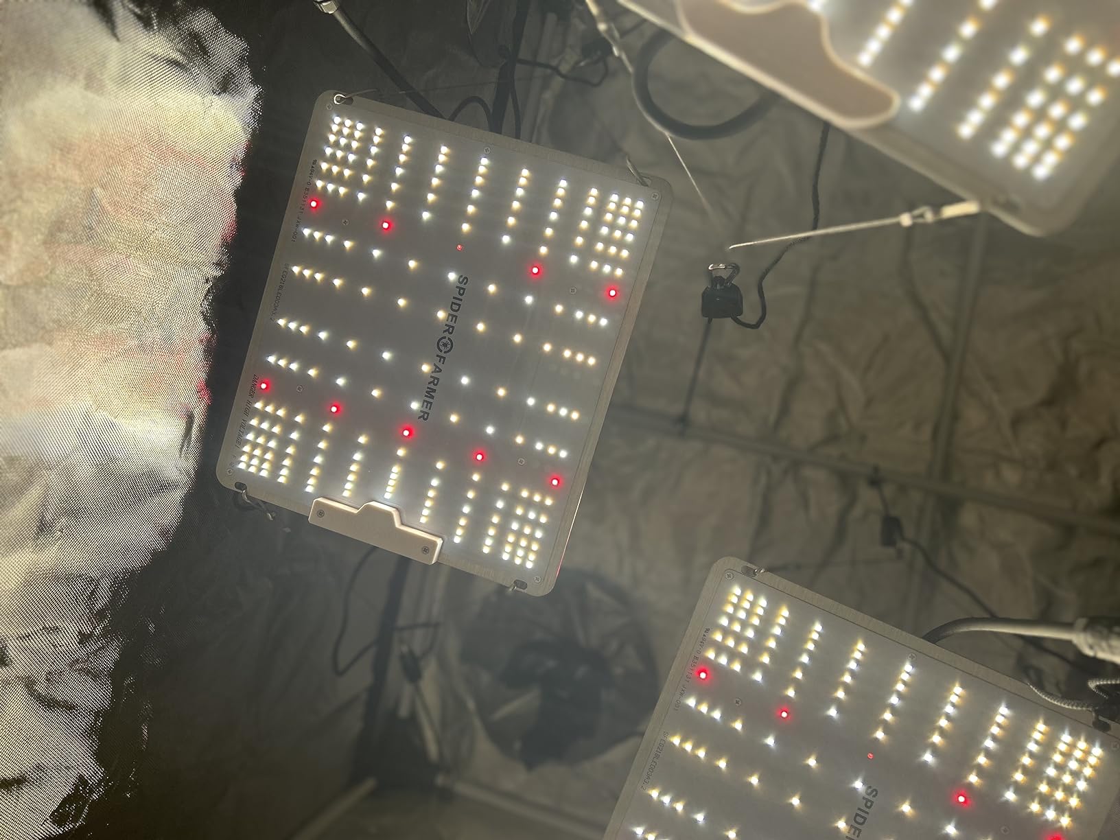 Spider Farmer SF1000 LED Grow Lights for Indoor Plants in 2x2/3x3 Grow Tent customer photo 2