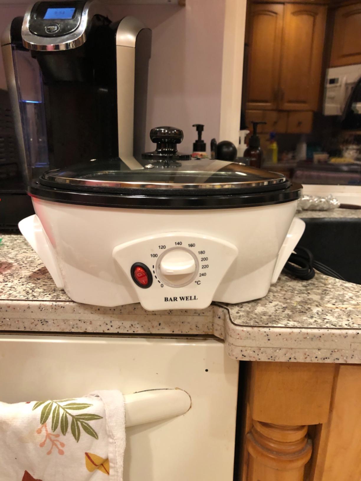 LUEUR Electric Coffee Roasters For Home Use,Coffee Bean Roaster Machine Coffee Bean Roaster For Stovetop, Countertop, Commercial Coffee Bean Roasting Machine 110V customer photo 1