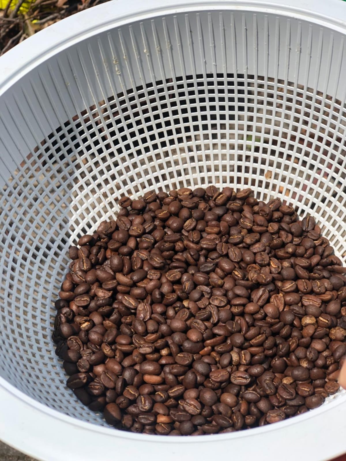 LUEUR Electric Coffee Roasters For Home Use,Coffee Bean Roaster Machine Coffee Bean Roaster For Stovetop, Countertop, Commercial Coffee Bean Roasting Machine 110V customer photo 2