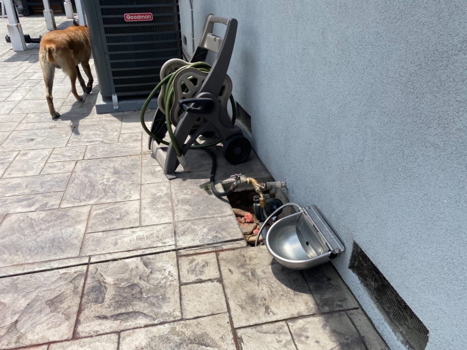 Automatic Cattle Waterer Stainless Steel Dog Water Bowl Outdoor & Indoor customer photo 1