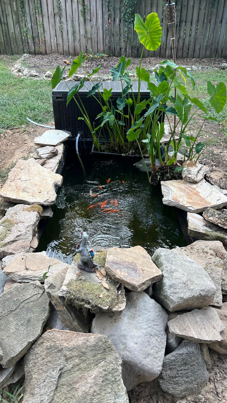 VIVOHOME 1580GPH Bio Pressure Pond Filter with 13W Light for Various Ponds customer photo 2