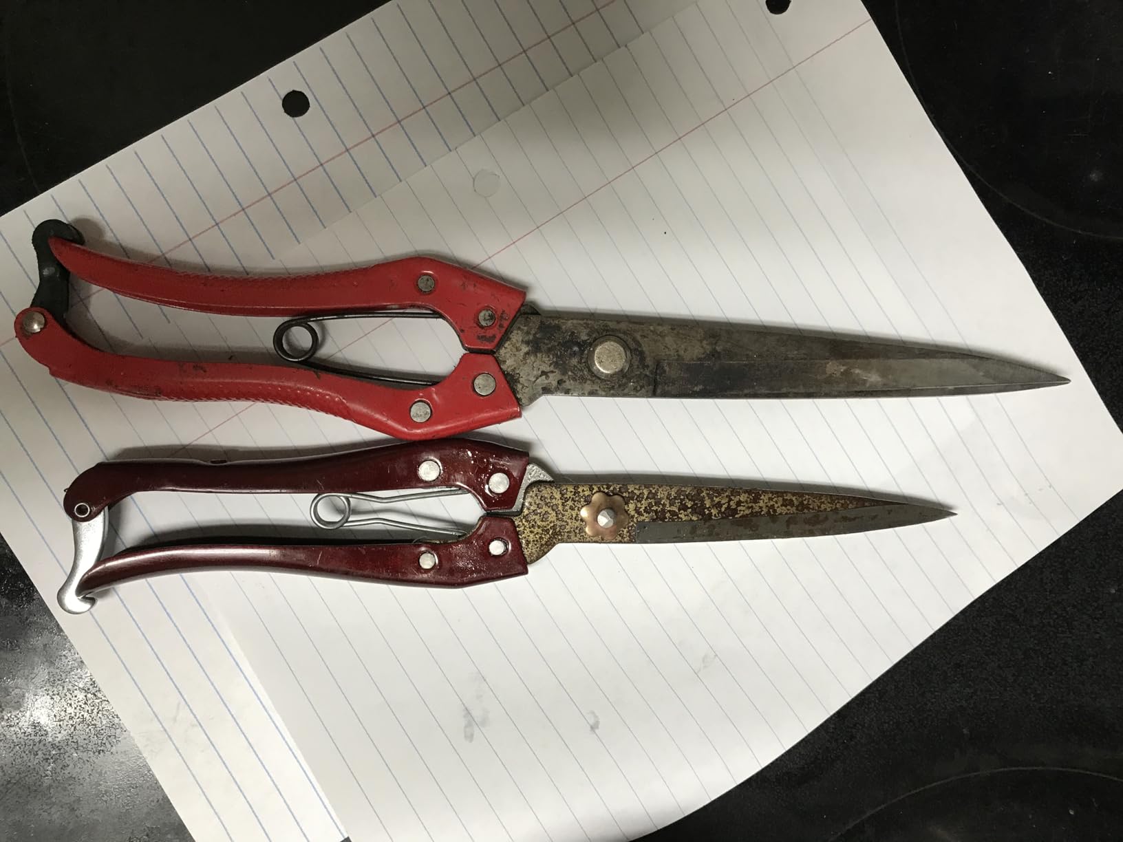 Grass Shear Sheep Shear Alpaca Shear - Coated Wear-Resistant Handle, Manganese Steel Double Blade, Strong Spring Suitable For Cattle And Sheep and Horse Hair Hand-Cut (Red 10.2 inches) customer photo 1