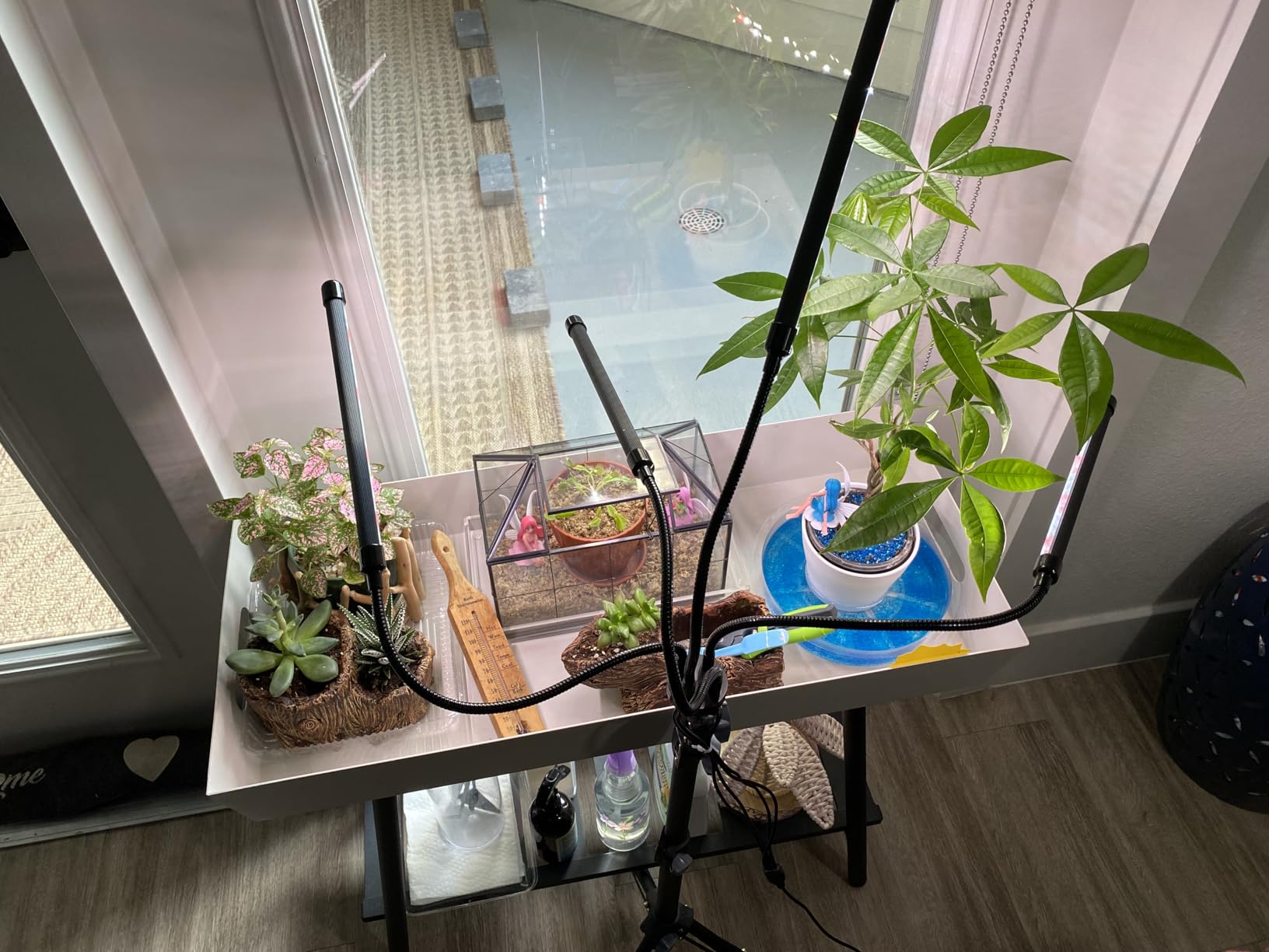 GHodec Grow Light Free Standing, 5500K Full Spectrum Gooseneck LED Lamp customer photo 2