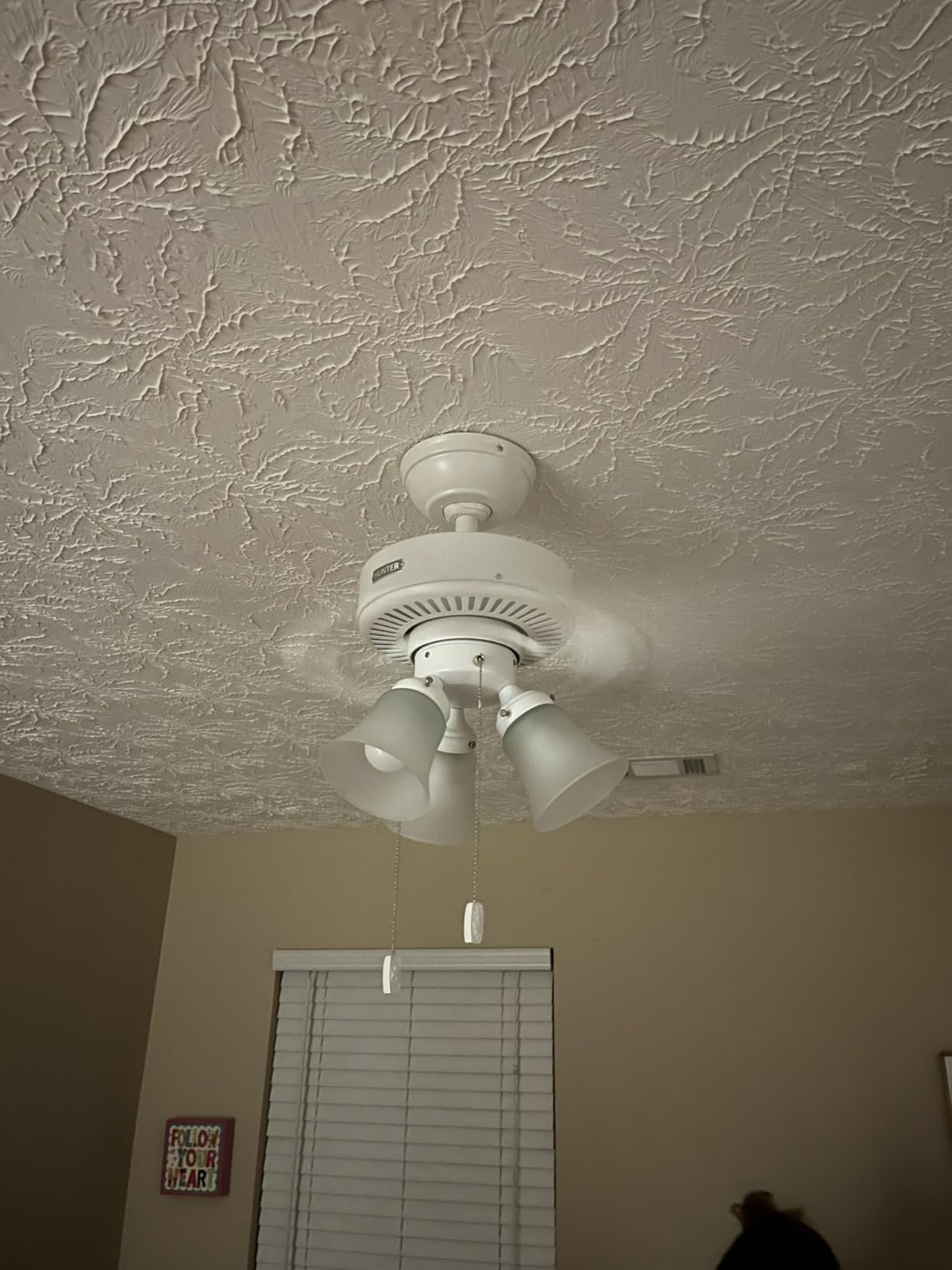 Hunter Swanson, Indoor, Ceiling Fan, with LED Lights, 52 inch, New Bronze | Standard Mount, Pull Chain, 5 Blades, For Bedroom, Living Room, Kitchen, 50887 customer photo 2